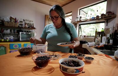 Gabriela Soto prepares insects for lunch, while her husband biologist Federico Paniagua (unseen) promotes the ingestion of a wide variety of insects as a low-cost and nutrient-rich food, in Grecia, Costa Rica, July 13, 2019. Picture taken July 13 2019. REUTERS/Juan Carlos Ulate