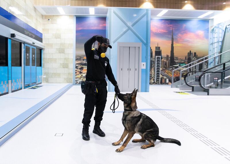 DUBAI, UNITED ARAB EMIRATES. 15 NOVEMBER 2020. 
Transport Security Department officer with Ariel, a police dog, at Hamdan Smart Station for Simulation and Training. The training facility of the Transport Security Department in Dubai aims to enhance security efforts and increase the readiness of security and law enforcement personnel. Equipped with the latest tools, the station utilises virtual reality and simulation technologies to provide comprehensive scenario-based emergency training.

(Photo: Reem Mohammed/The National)

Reporter:
Section: