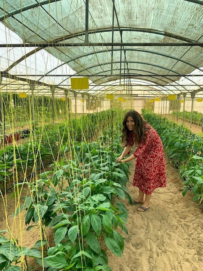 Elena Kinane, founder of Greenheart Organic Farms, tends to spinach. Courtesy Rebecca Holland