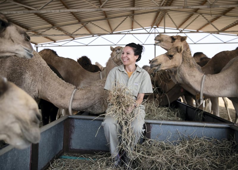 DUBAI, UNITED ARAB EMIRATES. 25 JANUARY 2021. 
Dr Clara Malo, senior scientist and head of andrology, Camel Reproduction Centre.
(Photo: Reem Mohammed/The National)

Reporter:
Section: