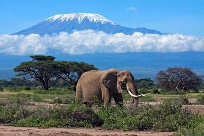 Flydubai will start flying to Kilimanjaro from June 1. Courtesy Flydubai