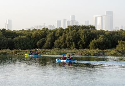 Kayakers at the Eastern Mangroves area in Abu Dhabi. Victor Besa / The National