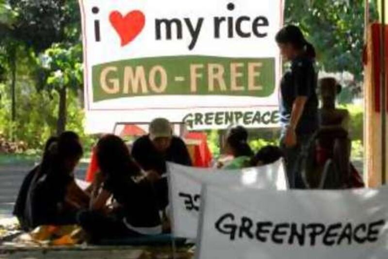 Greenpeace volunteers in a suburb of Manila take a break to eat a snack of rice in front of their banner reading "I love my rice GMO-free," 15 December 2007. This was part of a party held by the environmental group Greenpeace, for their allies and to drum up support for their causes such as opposition to GMOs or genetically-modified organisms.   AFP PHOTO/Jay DIRECTO