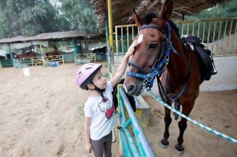 The Mushrif Equestrian Club rents its land from the municipality.