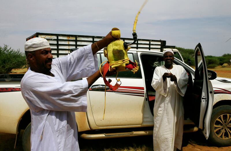 Testing facilities to check the camels' performance.