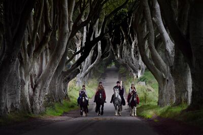 ANTRIM, NORTHERN IRELAND - AUGUST 29: Four actors on horseback dressed in Game of Thrones related costumes carry the Queen's Baton as they make their way way along the Dark Hedges on August 29, 2017 in Antrim, Northern Ireland. The Dark Hedges near Stranocum in County Antrim featured as the King's Road in season two of Game of Thrones and has become a tourist mecca for fans of the television series along with other filming locations in the province. The Queen's Baton Relay is currently on a tour of the United Kingdom as it makes its way around Europe in preparation for the 2018 Commonwealth Games in Australia. (Photo by Charles McQuillan/Getty Images)