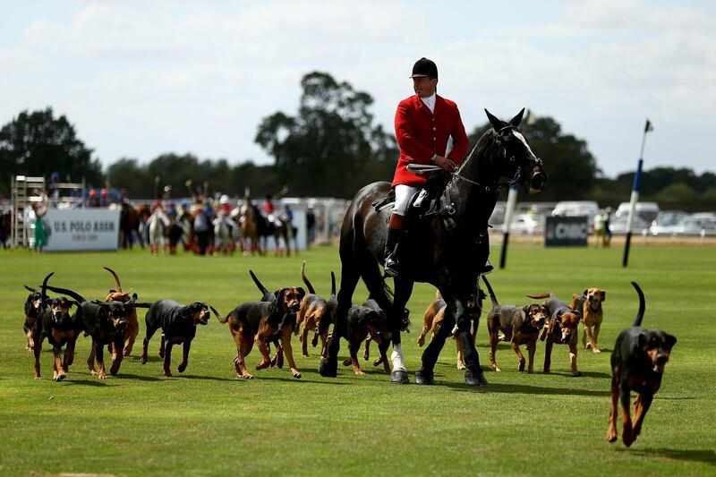 Horse and hounds parade round the ground prior to the Westchester Cup 18th Edition Match between Flannels England and the USA during the 2018 International Day Polo at The Royal County of Berkshire Polo Clubon July 28, 2018 in Windsor, England.  Jordan Mansfield / Getty Images