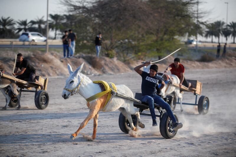 Donkey racing in the Bahraini town of Saar, west of Manama, last week. All photos: Reuters