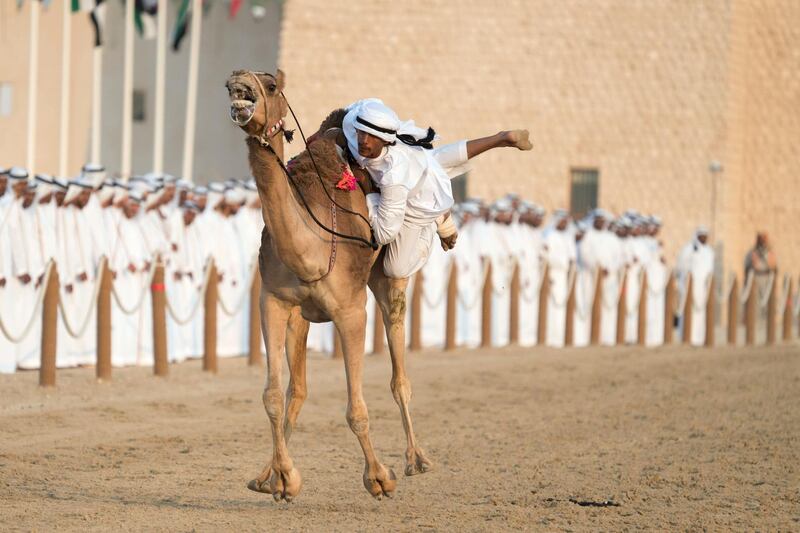 AL WATHBA, ABU DHABI, UNITED ARAB EMIRATES - December 03, 2017: Camel riders participate in the Union March during the Sheikh Zayed Heritage Festival. 

( Omar Al Askar for Crown Prince Court - Abu Dhabi )

---