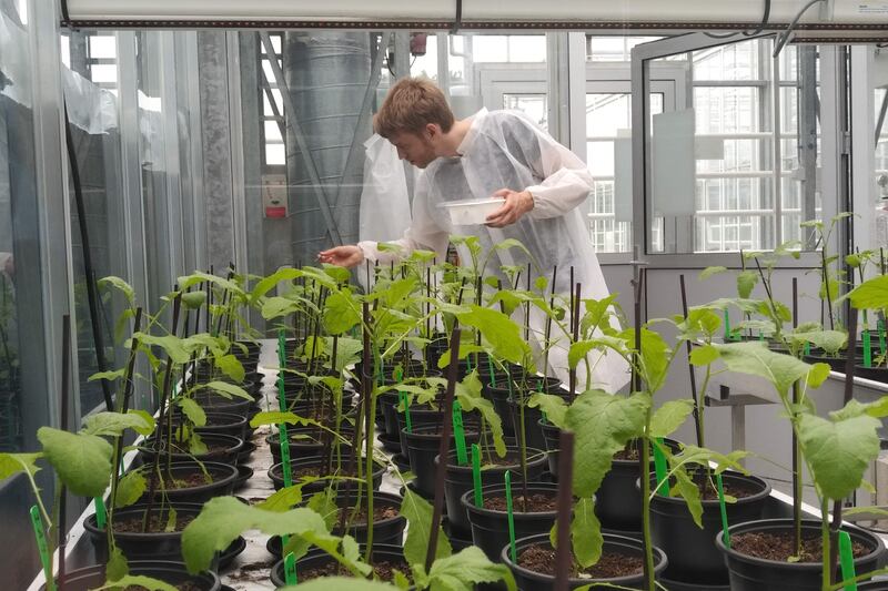 Fewer students are keen on taking agriculture as a profession worldwide and innovative research with sustainability as a focus can draw young people to farming.  Photo: Wageningen University & Research / Vincent Koperdraat