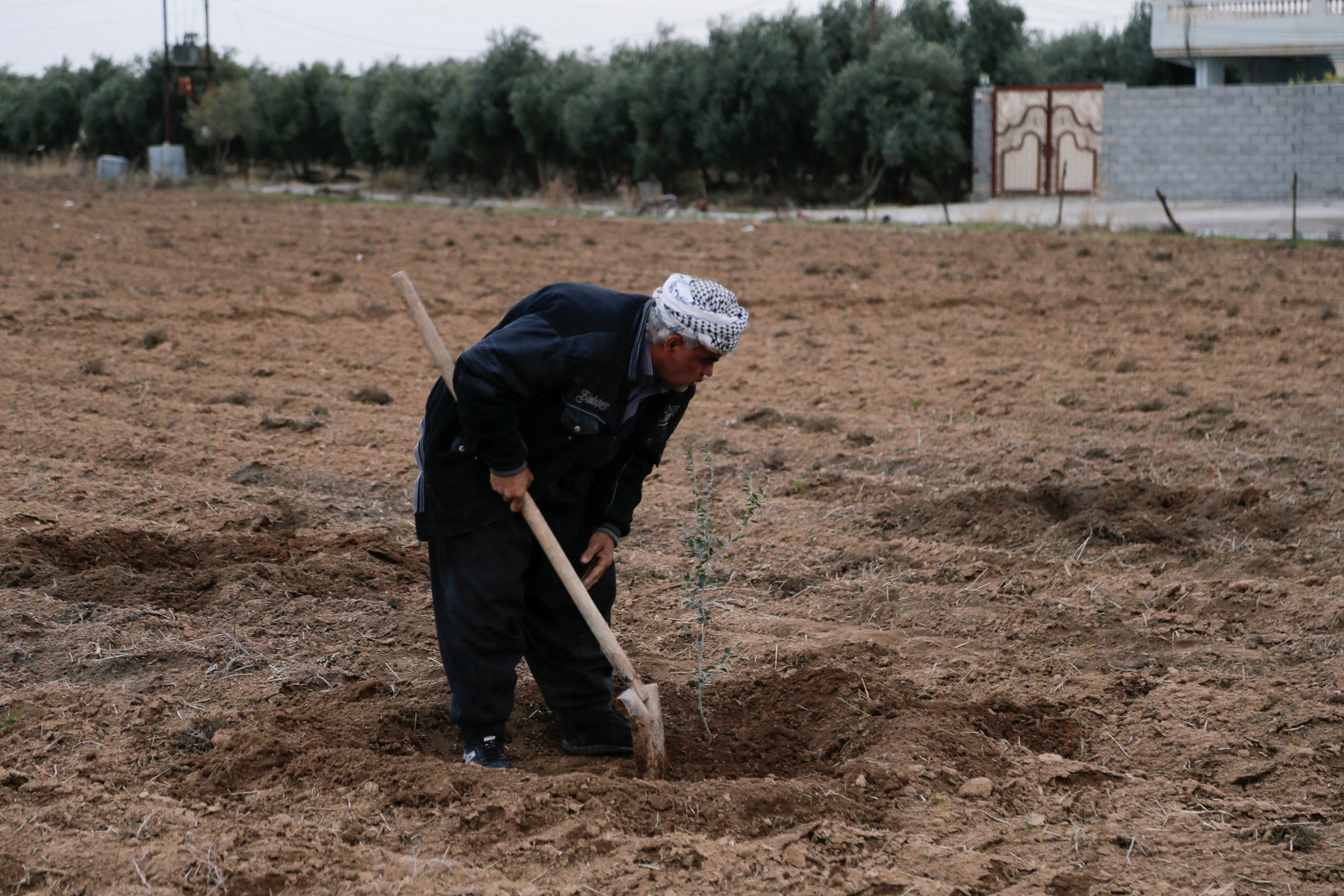 Mr Salman believes solar power should be the future of agriculture and energy in the Middle East, where stifling summers are getting longer and hotter.