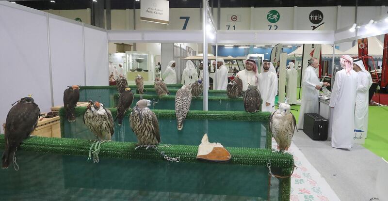 ADIHEX Announces the “Most Beautiful Captive-Bred Falcons” Contest. Courtesy ADIHEX