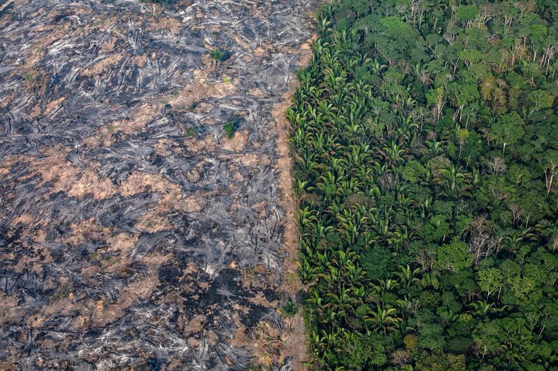 PORTO VELHO, RONDONIA, BRAZIL - AUGUST 25:  In this aerial image, A section of the Amazon rain forest that has been decimated by wild fires on August 25, 2019 in the Candeias do Jamari region near Porto Velho, Brazil. According to INPE, Brazil's National Institute of Space Research, the number of fires detected by satellite in the Amazon region this month is the highest since 2010.  (Photo by Victor Moriyama/Getty Images)