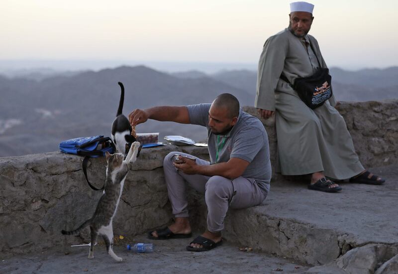 Pilgrims feed cats on Jabal Al Noor in Makkah. AFP