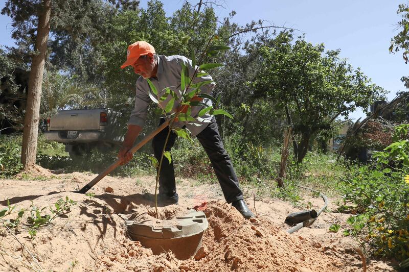 At his farm in Tajura, near Tripoli, Ramadan has planted eucalyptus, palm and laurel trees, which the group plans to replant around the capital