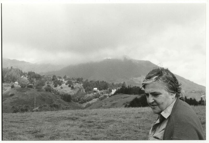 A handout image of Etel Adnan, author of "Sea and Fog" (Courtesy: Courtesy Arab American National Museum) NOTE: For Arts & Life's  Arab American Book Awards feature by Jessica Hill *** Local Caption ***  Adnan_photo.jpg