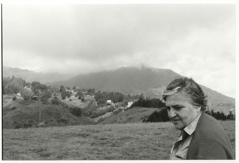 A handout image of Etel Adnan, author of "Sea and Fog" (Courtesy: Courtesy Arab American National Museum) NOTE: For Arts & Life's  Arab American Book Awards feature by Jessica Hill *** Local Caption ***  Adnan_photo.jpg