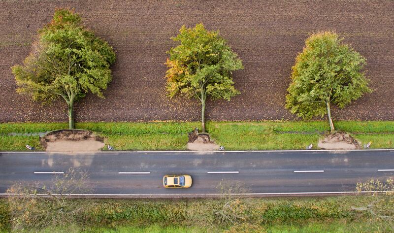 Three trees uprooted by high winds at a road near Hildesheim, Germany. Julian Stratenschulte / dpa via AP
