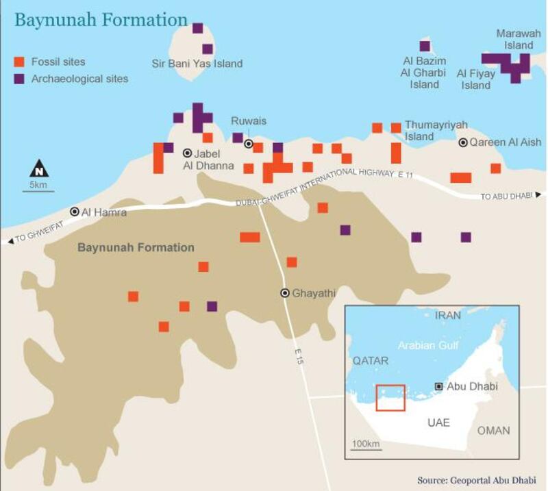 A comprehensive map of the Baynunah Formation which once teemed with animals.
