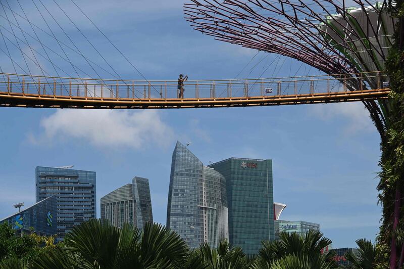 A man stands on the Supertree Grove skyway at Gardens by the Bay in Singapore. AFP