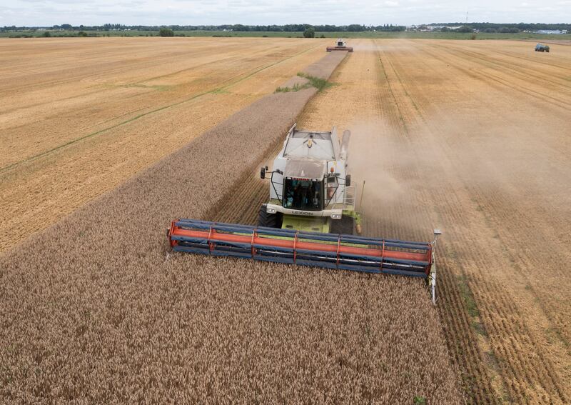 Harvesters collect wheat in the village of Zghurivka, Ukraine. Grain exports have caused tension to rise between Ukraine and its neighbour Poland. AP