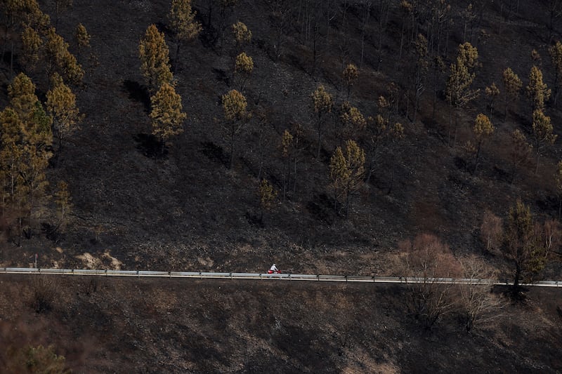 A motorcyclist rides along a mountain road blackened by wildfires in Asturias. Reuters
