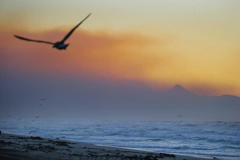 Seagulls fly at dawn as smoke from a fire is seen in the background in the Helderberg mountains around Somerset West, South Africa. More than 120 firefighters, three helicopters and a water bombing aircraft have been battling the fire, fanned by winds, around the Somerset West and Stellenbosch areas. Several properties in the area have been evacuated. The cause of the fire is yet unknown.  Nic Bothma / EPA