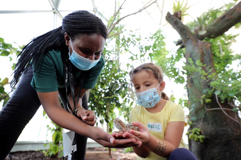 Dubai, United Arab Emirates - Reporter: N/A. Photo project. Children's summer activities. Melis with a bearded dragon at the ultimate eco-friendly summer camp in a bio-dome at the Arbor School. Summer activities for teenagers and children open up after school has finished with Covid-19/Coronavirus protection measures. Wednesday, July 22nd, 2020. Dubai. Chris Whiteoak / The National