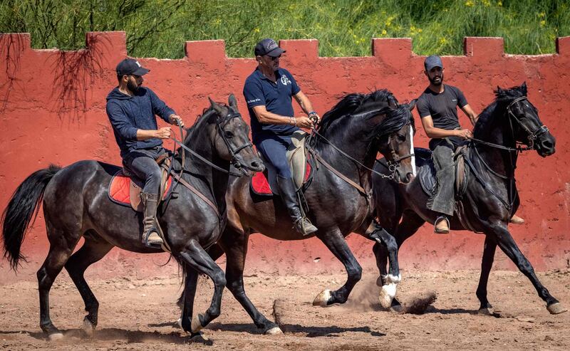 Stallions hopefully destined for film sets in Morocco. Coronavirus restrictions have hit the industry hard. AFP