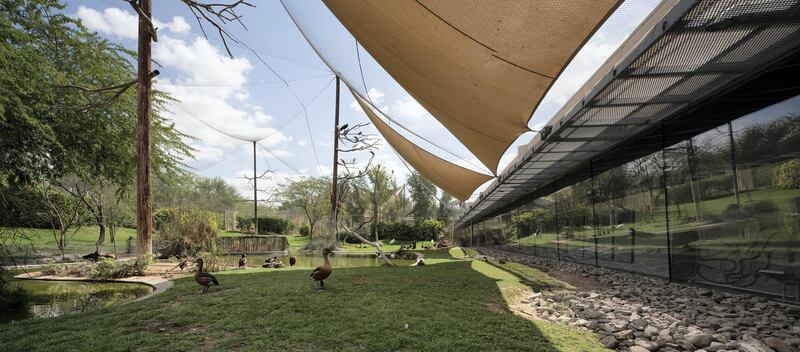 Part of a much larger project to clean up and rehabilitate this ancient chain of wetlands along the Gulf coast, the Wetland Centre aims to provide information and education about this unique environment and to encourage its preservation. The architecture of the centre uses the existing topography of the site to minimise the structure’s visual impact. Upon arrival, visitors are led underground along a pathway into a linear gallery with a transparent wall that allows them to view the birds of the wetland in their natural habitat. The centre also contains documentation and displays about the wetlands, and a cafeteria and shop.