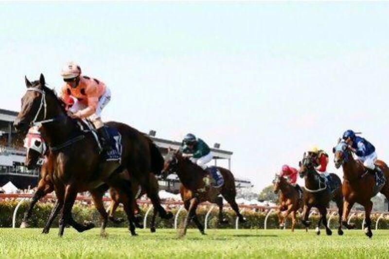 Black Caviar has been ridden by Luke Nolen in all but three of her 21 victories.