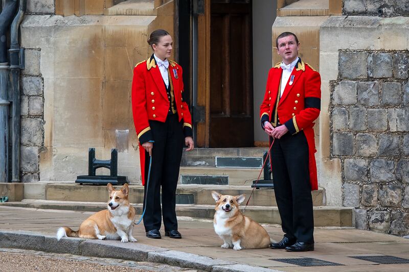 Members of the royal household stand with Queen Elizabeth's Corgis, Muick and Sandy, as they await the  funeral cortege at St. George's Chapel, Windsor. AP