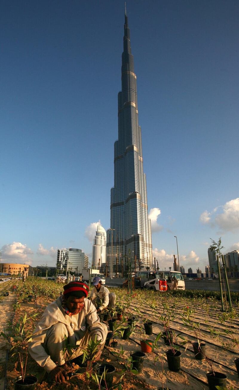 DUBAI - JANUARY 3,2010 - A worker planting  ornaments around the Burj Dubai in preparation for the opening ceremony of the tallest building in Dubai. ( Paulo Vecina/The National ) *** Local Caption ***  PV Burj 2.jpg PV Burj 2x.jpg