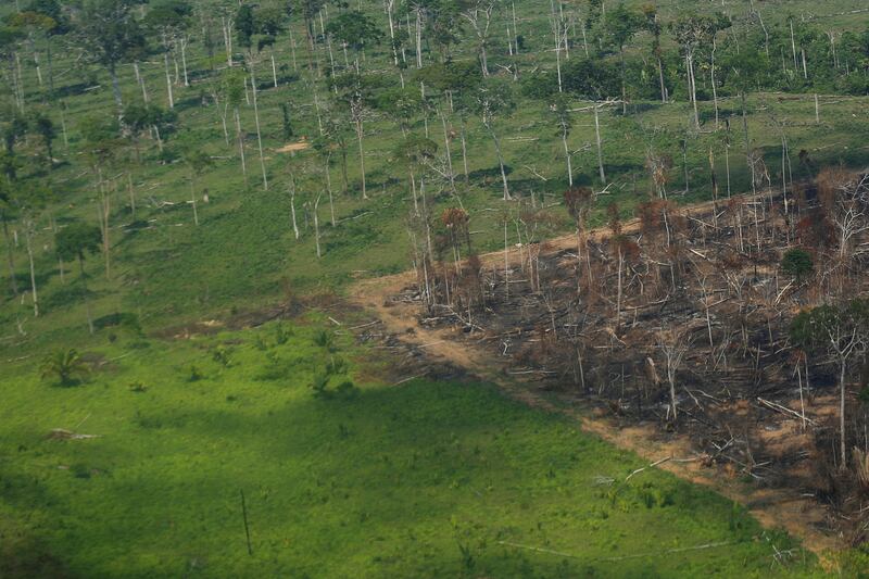 The Amazon rainforest has been hit by a record level of deforestation last month, research suggests.