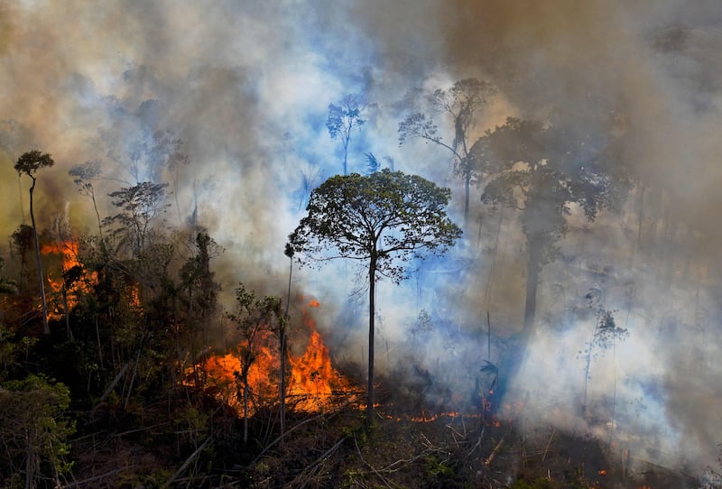 Deforestation in Para state, Brazil.  AFP