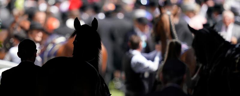 A runner enters the parade ring on day four of Royal Ascot at Ascot Racecourse in Ascot, England. Getty Images