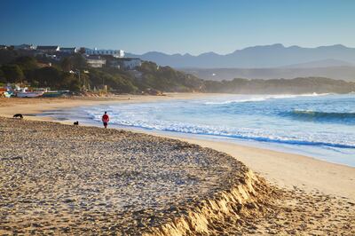 Plettenberg Bay beach at dawn, Western Cape, South Africa  (Getty Images) *** Local Caption ***  wk27ja-tr-south-africa02.jpg
