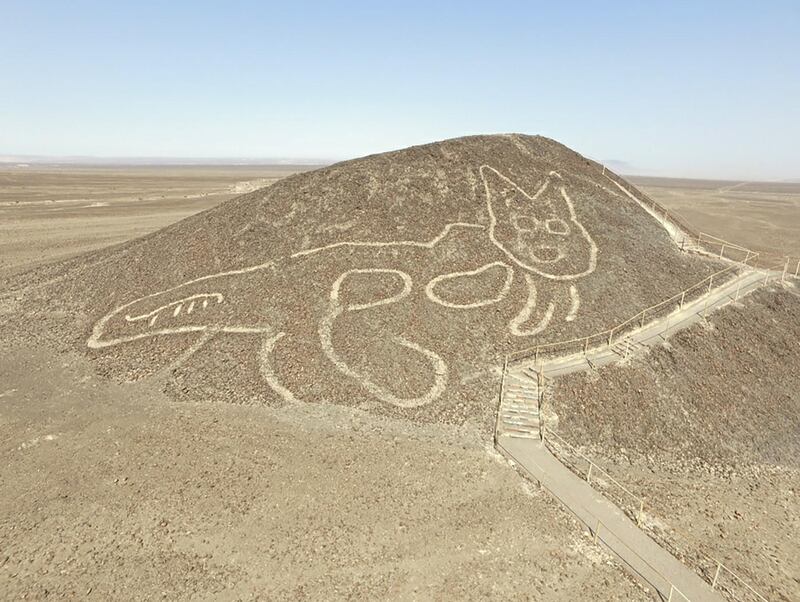 The geoglyph measures 37 metres from head to tail. AFP