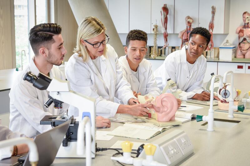 Young scientists in medical school learning about human hearing, female teacher showing students anatomy of human ear