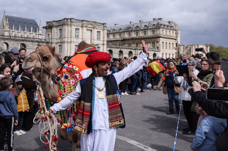 An Indian camel driver takes part in a camelids parade in front of the Chateau de Vincennes near Paris. AFP