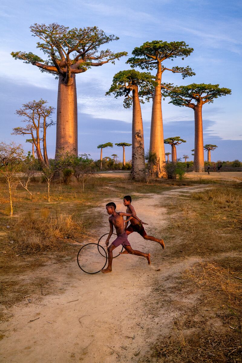 'Boys Running With hoops Along Baobab Avenue, Morondava, Madagascar, 2019'.