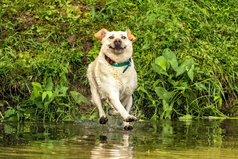 Highly Commended: 'Look Mum, I Can Walk on Water' by John Carelli.