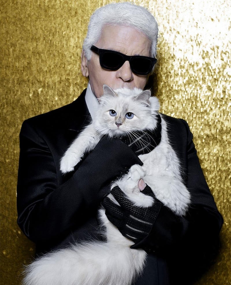 Karl Lagerfeld has reportedly left part of his fortune to his beloved cat Choupette. 