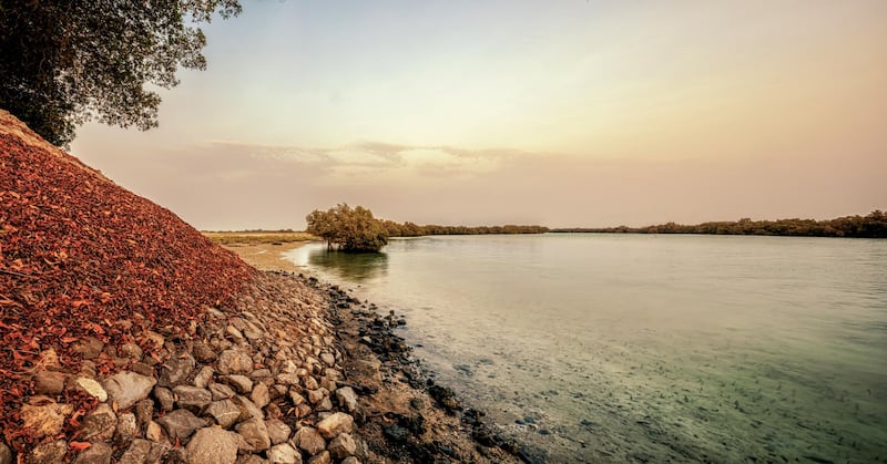 The sun and the purity of the water create a mirror-like reflection in Jubail Island, a few minutes away from Abu Dhabi.