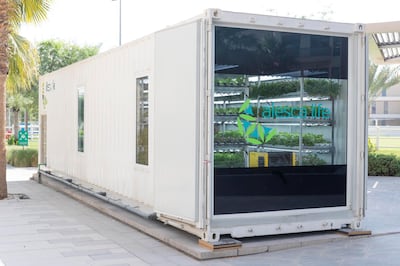 DUBAI, UNITED ARAB EMIRATES. 22 OCTOBER 2019. The Sustainable City in Dubai gets its first Alesca Container Farm that produces fresh produce with minimal water and resources. (Photo: Antonie Robertson/The National) Journalist: None. Section: National.
