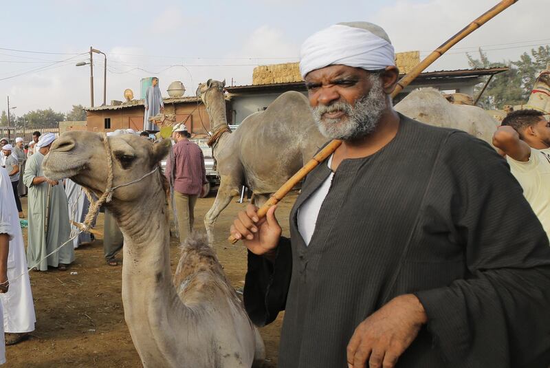 A herdsman with a camel.