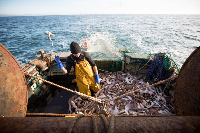 A fisherman sorts through a fresh catch of fish aboard fishing boat 'About Time' while trawling in the English Channel from the Port of Newhaven, East Sussex, U.K. on Sunday, Jan. 10, 2021. While Prime Minister Boris Johnson claimed last month’s trade deal will let the U.K. regain control of its fishing waters by taking back 25% of the European Union’s rights over five years, many fishermen feel let down. Photographer: Jason Alden/Bloomberg