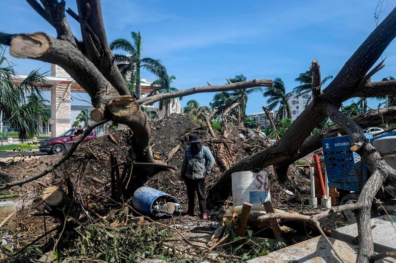 A man inspects trees felled by the passage of Hurricane Delta in Cancun, Quintana Roo state, Mexico, on October 8, 2020. AFP