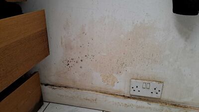 Mould should never be treated with bleach, say the experts. Sarah Maisey / The National