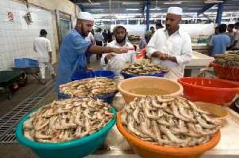 Dubai - August 24, 2009 - A stallworker (L) describes the differences between the prawns he has for sale to two men at the Dubai Fish Market in Dubai August 24, 2009.  (Photo by Jeff Topping/The National)  *** Local Caption ***  JT007-0824-OASIS FISH_MG_0023.jpg
